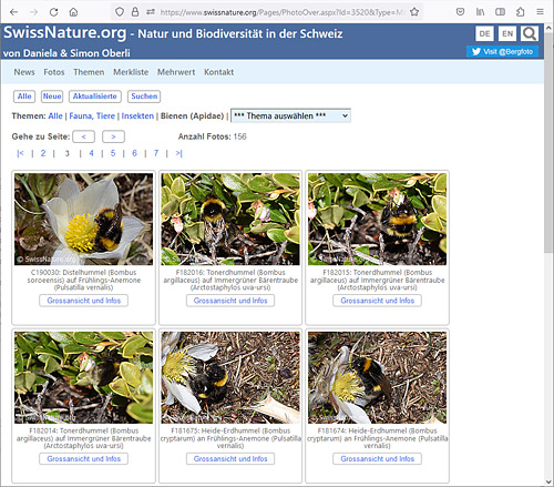 SwissNature.org: Mischung aus Fotodatenbank und Informationssystem über Natur und Biodiversität in der Schweiz.